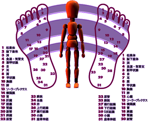 reflexology chart