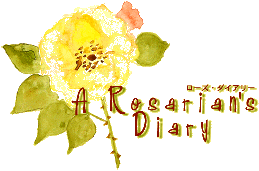 A Rosarian's Diary