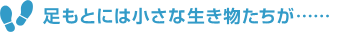 ­ȤˤϾʪġ