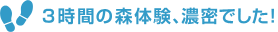 ѥƤҡ