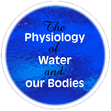 The Physiology of Water and our Bodies